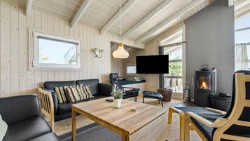 Tv, pejs, dvd-afspiller