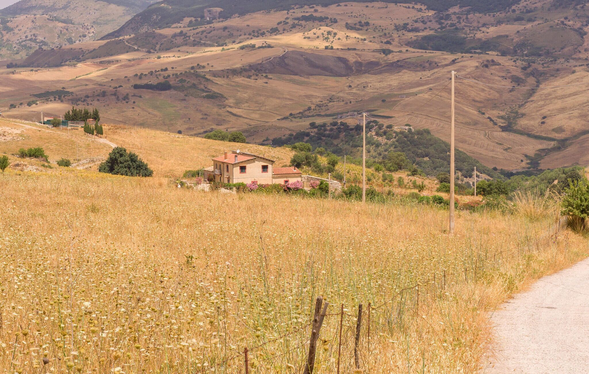 Un paysage rural avec une seule maison, entourée de champs et de collines.