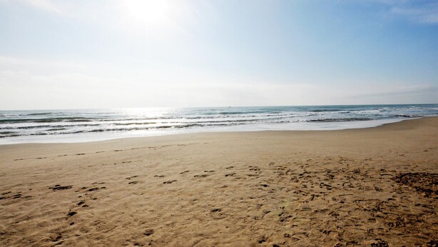 A beach with footprints in the sand and the ocean in the background. - 3 bedroom pet friendly home in Castelreng (Castelreng)