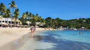 Ein Strand mit Palmen, klarem, blauem Wasser und Strandsonnenschirmen.