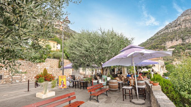 An outdoor café with tables and benches, surrounded by olive trees and a stone wall. - Amazing apartment in Saint-Jeannet with WiFi (Saint-Jeannet)
