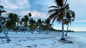 A beach with palm trees and a building in the background. - Stylish and Modern Apartment in Punta Cana (Punta Cana)