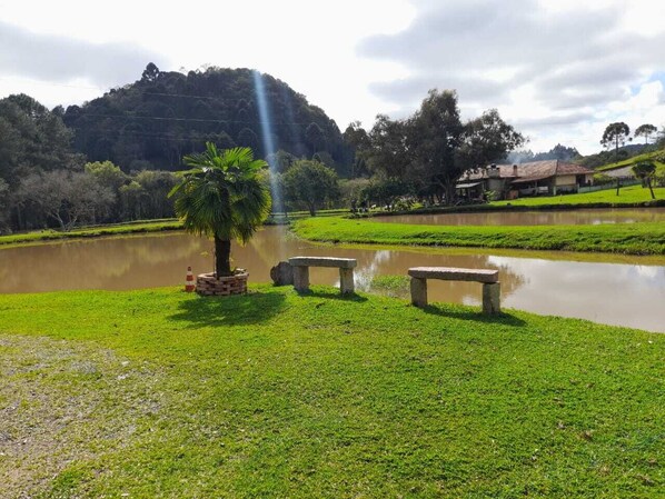 A serene lakeside setting with a small palm tree, benches, and a distant hill.