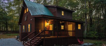 Cozy cabin with hot tub, game shed, and firepit. Pet friendly! Level 2 charger.