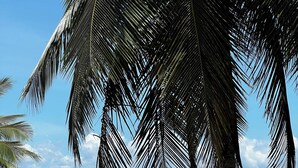 A tropical landscape with palm trees and a view of the ocean. - Villa between sea and mountain with beautiful places, live the adventure and romance. (Monte Rojo)