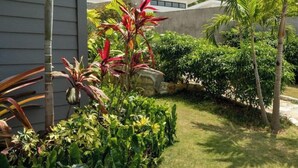 A well-maintained garden with various plants and a pathway leading to a building. - 2-bedrooms condo with spectacular Ocean View, WiFi, AC in delightful Montego Bay (Montego Bay)
