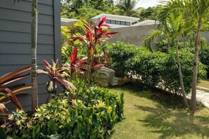 Property grounds - 2-bedrooms condo with spectacular Ocean View, WiFi, AC in delightful Montego Bay (Montego Bay)