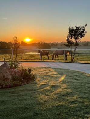 Miscellaneous - Cozy studio with queen pullout sofa on scenic working ranch in Fort Worth. (Fort Worth)