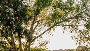 A rustic barn with a stone exterior, a tree-lined pathway, and a playground in the background. - Cozy studio with queen pullout sofa on scenic working ranch in Fort Worth. (Fort Worth)