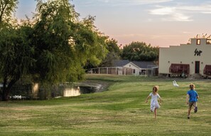 Property grounds - Cozy studio with queen pullout sofa on scenic working ranch in Fort Worth. (Fort Worth)