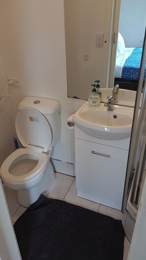 Shower, hair dryer, towels, soap - An ultra-convenient 2 bed 2 bath unit near CBD with River Derwent&mountain views (Sandy Bay)