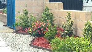 A landscaped garden with gravel paths, small shrubs, and flowering plants.