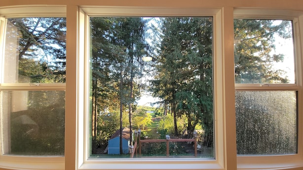 A bay window with three panes, each offering a view of a garden with trees and a small blue shed. - Charming Lake Cottage+Private Dock+AC—Bring your paddles floats & fishing rods! (Sedro-Woolley)