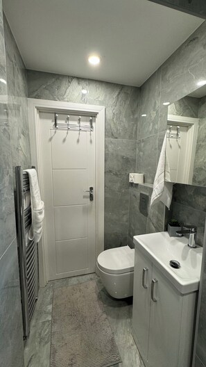 Hair dryer, towels, soap, toilet paper - Large room with access to the garden (London)