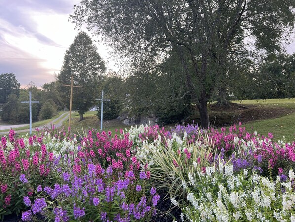 Jardines del alojamiento