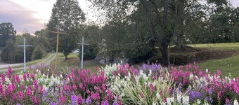 Lester Lodge minutes to New River Gorge.  Charming 5 bedroom house on 4.5 acres