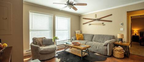 Smart TV, fireplace, DVD player, books