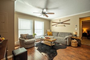 Smart TV, fireplace, DVD player, books