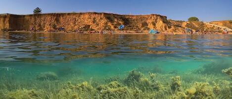 Playa