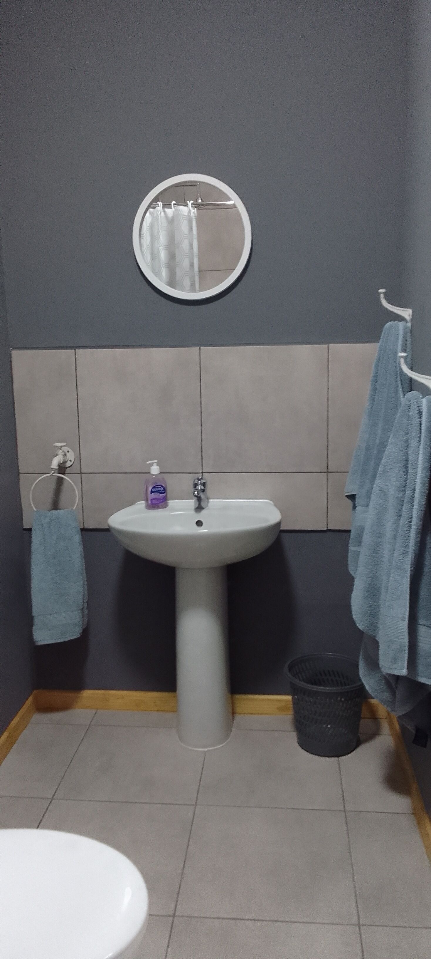 Chuveiro, toalhas de banho, papel higiênico 