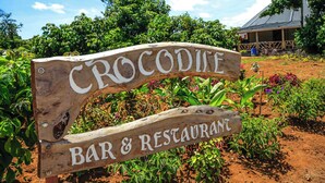 Segno di legno per un bar e ristorante a tema coccodrillo.