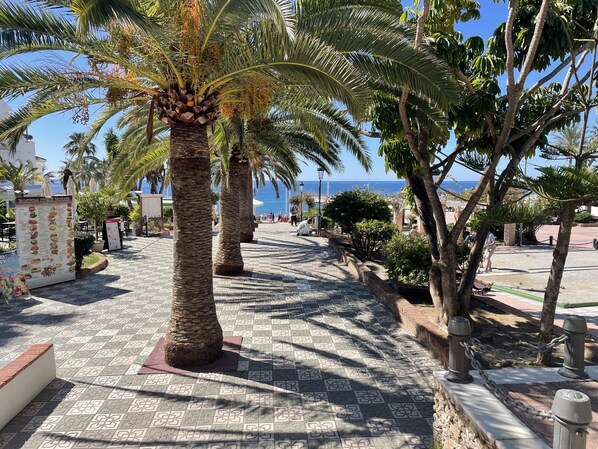 Ein gepflasterter Weg, gesäumt von Palmen, mit Blick auf das Meer.