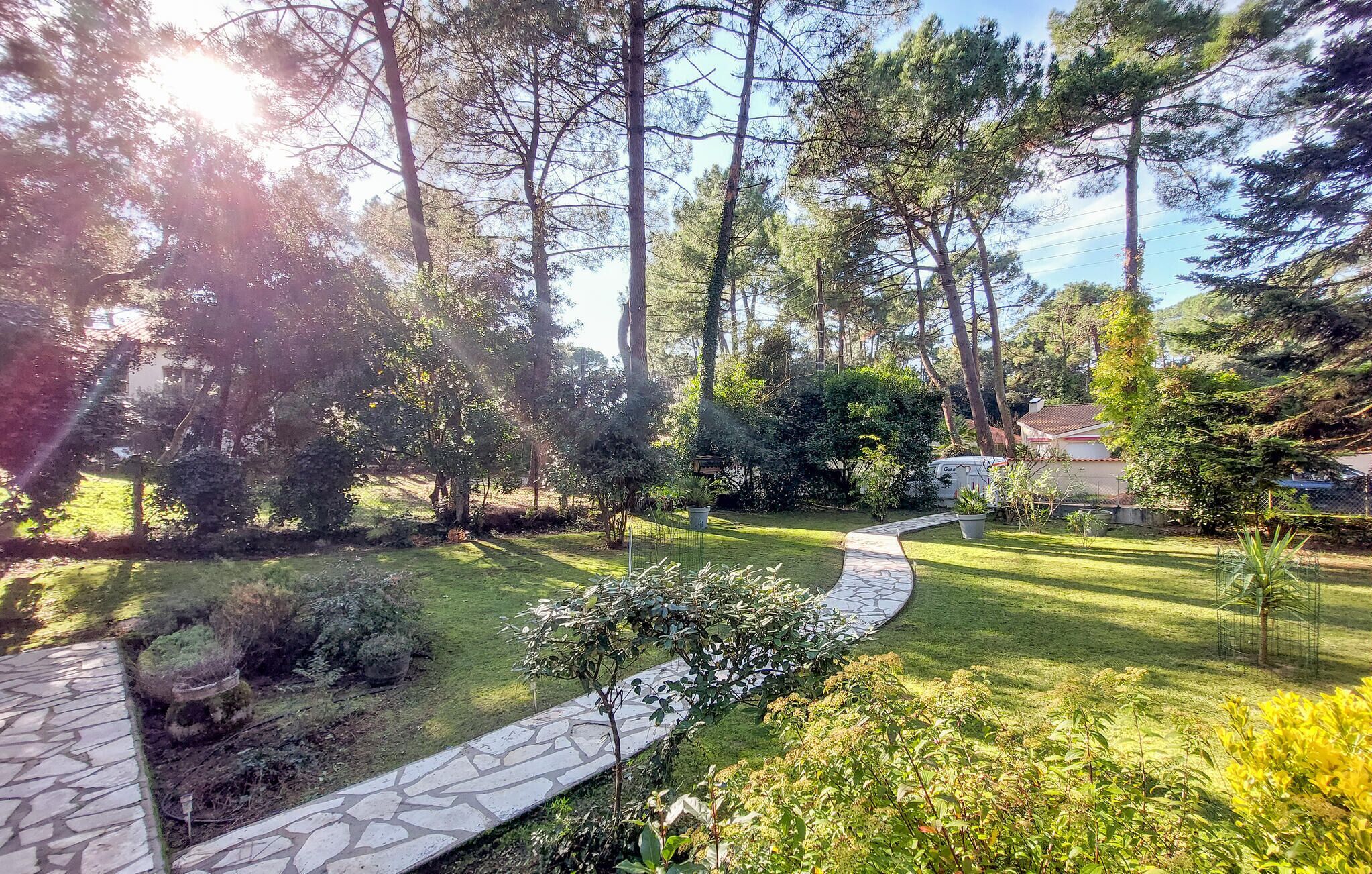 A stone pathway leading through a lush garden with a variety of trees and shrubs, a clear sky, and a house in the background.