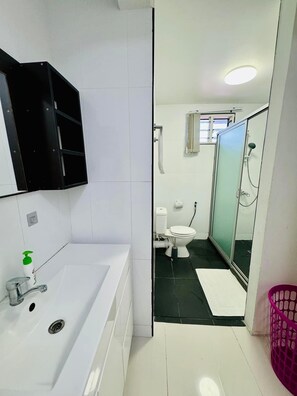 Assecador de cabells, bidet, tovalloles i sabó