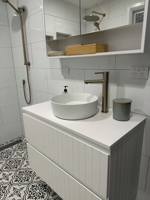 Ducha, secador de pelo, jabón, papel higiénico