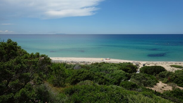 A beach with clear turquoise waters, a sandy shore, and dense green vegetation in the foreground.