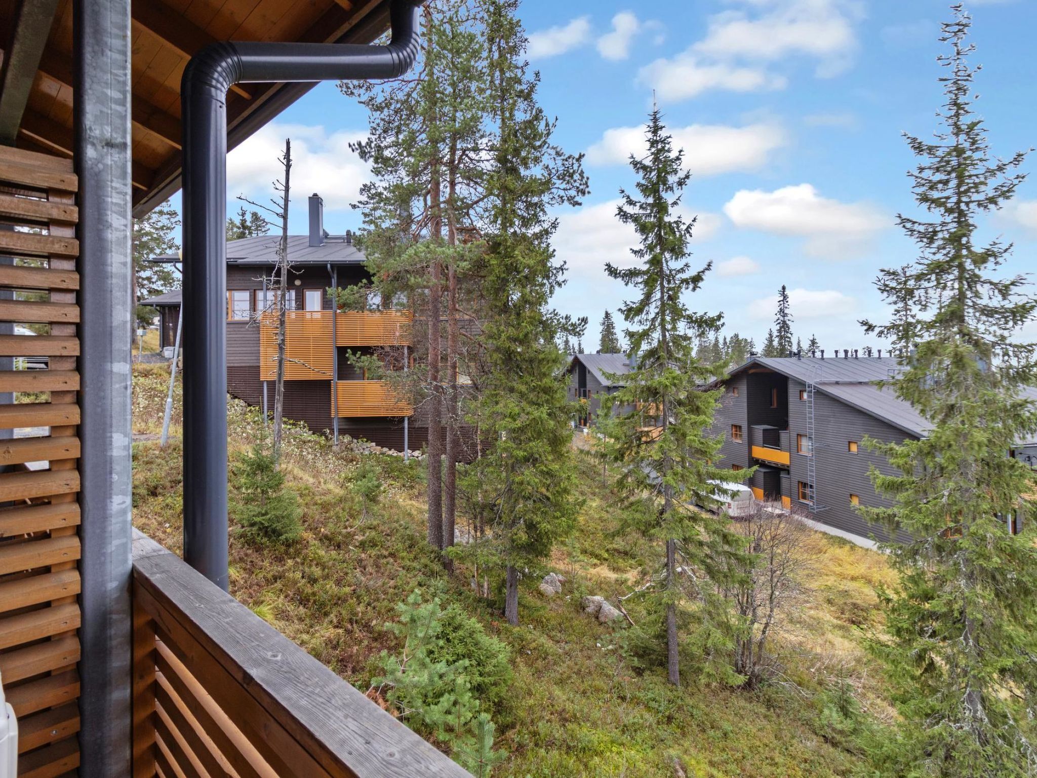 Parco della struttura