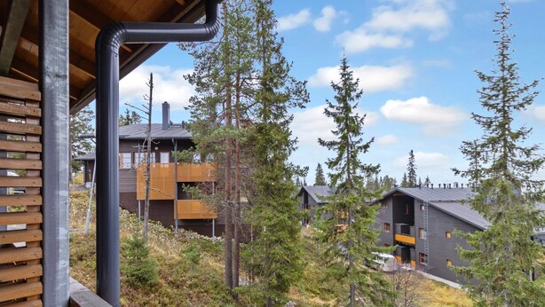 Un edificio moderno de estilo cabaña, con varios niveles, rodeado de un bosque denso.