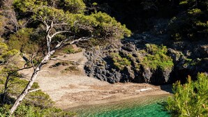 Eine Küstenlandschaft mit felsigem Gelände, klarem türkisblauem Wasser und dichtem Grünland.