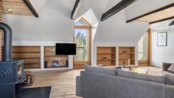 Smart-TV, Kamin