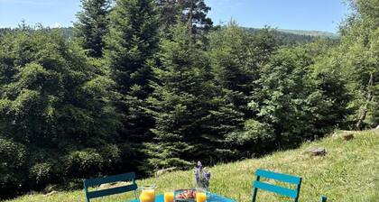 Triplex Montagnard avec Sauna et Balcon, Vue Pistes
