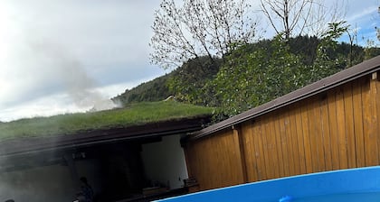 Cazare Apuseni Pensiune cu ciubÄr