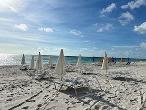 On the beach - STUNNING corner unit, 1B 1B at LYFE RESORT AND RESIDENCES with Ocean View (Hollywood)