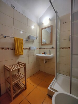 Hair dryer, bidet, towels, toilet paper