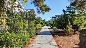 A pathway lined with trees and shrubs, leading towards a building with a modern design.