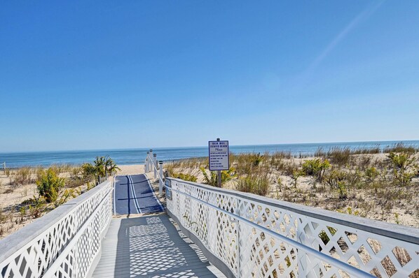 بالقرب من الشاطئ