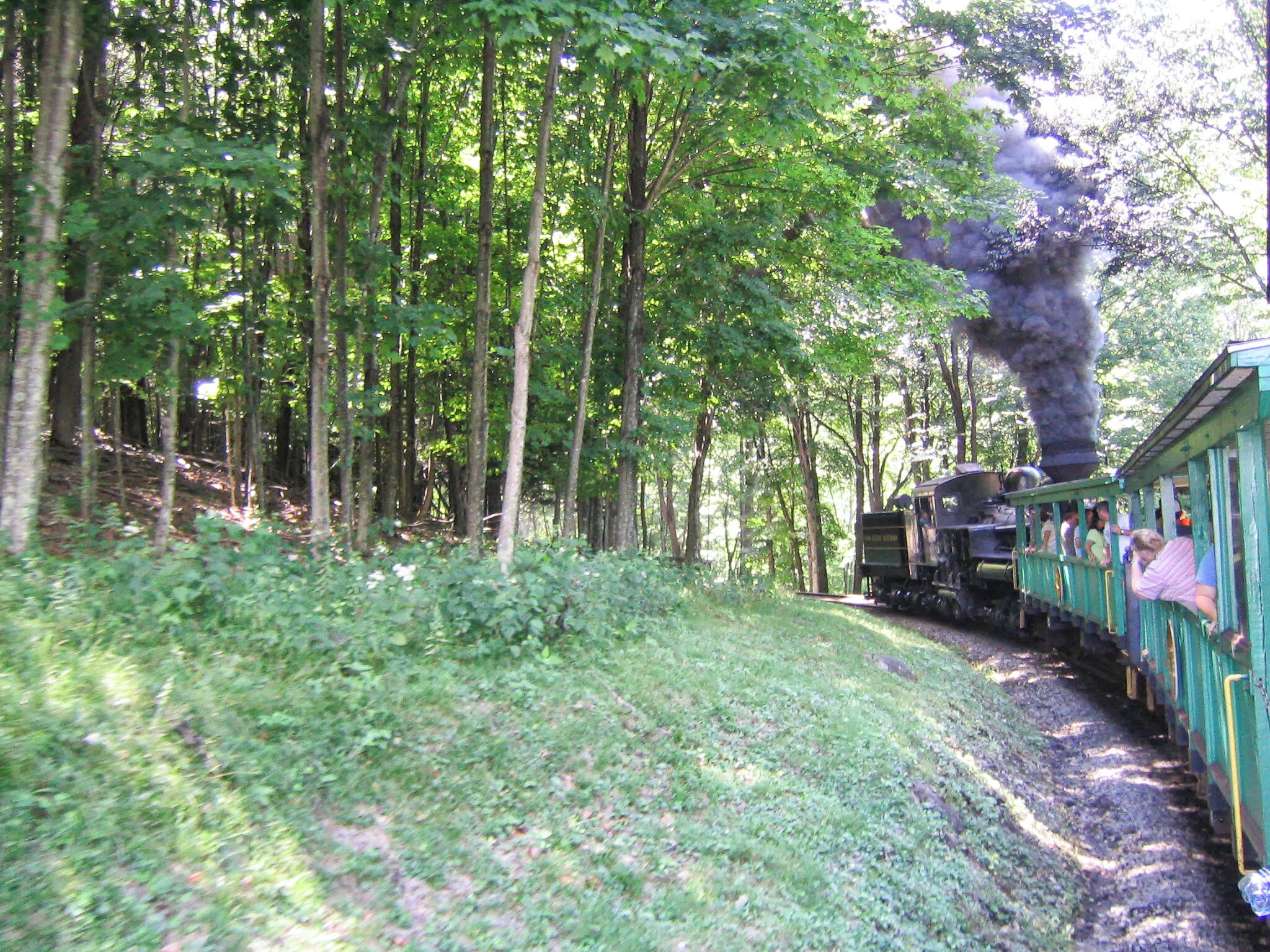 A green train with passengers, moving through a forested area.