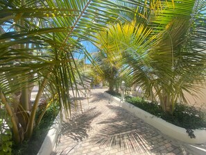 Property grounds - Oceanfront 6 one-bedroom villas resort in Southeast of Zanzibar island (Makunduchi)