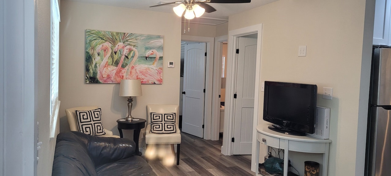 Brand New Remodel. Adorable 2-bedroom 1 Bath House In Downtown Tarpon Springs - Tarpon Springs, FL