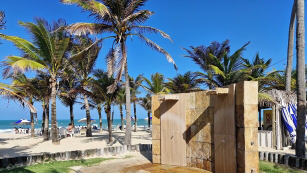 A beach with palm trees, a stone wall, and a beachside seating area.