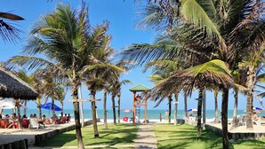 A pathway lined with palm trees leading to a beach area with umbrellas and lounge chairs.