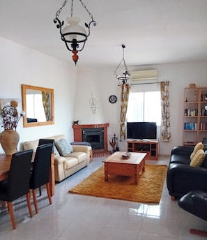 TV, fireplace, books