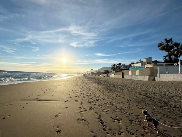 Solstolar och strandhanddukar