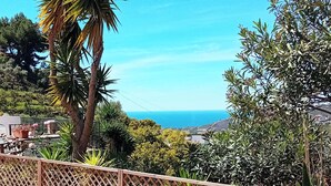 A coastal landscape with a palm tree and various shrubs. - Andalusian finca with private pool, sea views and stunning sunsets (Torrox)
