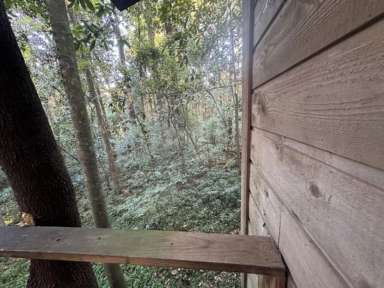 A wooden deck with a view of a forested area.