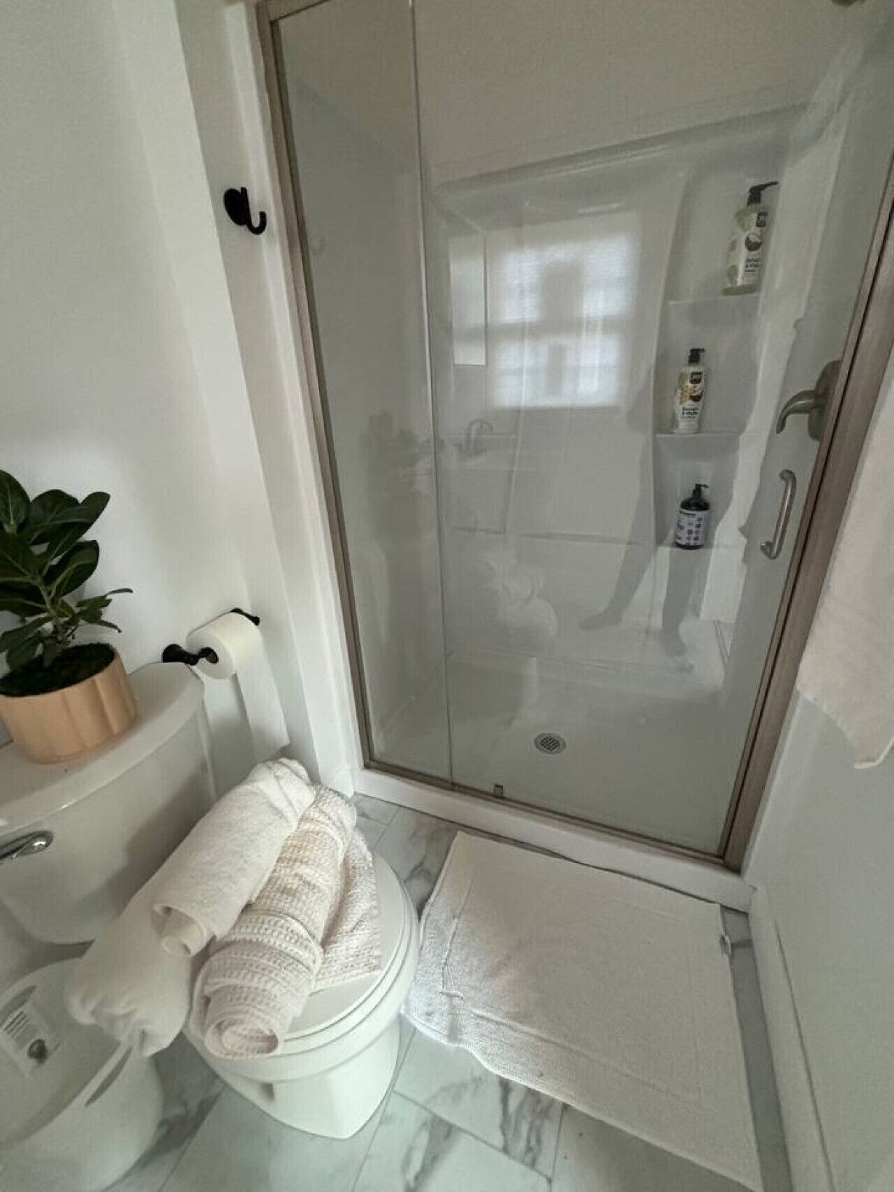A bathroom with a glass-enclosed shower, a toilet, a sink, and a potted plant.
